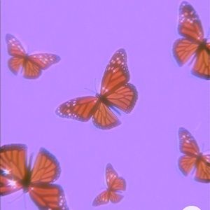 Meet your Posher, Janay